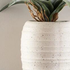 Artificial Dracaena In Ribbed White Plant Pot 8 Artificial Dracaena In Ribbed White Plant Pot -Home Luxe Studio 1000183214 alt02