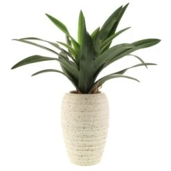 Artificial Dracaena In Ribbed White Plant Pot 9 Artificial Dracaena In Ribbed White Plant Pot -Home Luxe Studio 1000183214 alt03