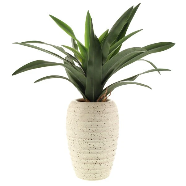 Artificial Dracaena In Ribbed White Plant Pot 6 Artificial Dracaena In Ribbed White Plant Pot - Image 4