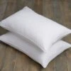 Pack Of 2 Teflon Ultimate Stain Resistant Side Sleeper Pillows 1 Pack Of 2 Teflon Ultimate Stain Resistant Side Sleeper Pillows -Home Luxe Studio 30422250