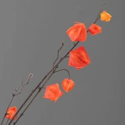 Artificial Orange Lantern Flower Stem -Home Luxe Studio 30632131 alt01