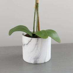 Artificial Cream Orchid In Marble Plant Pot -Home Luxe Studio 30672982 alt02
