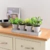 Artificial Herbs In Metal Tray -Home Luxe Studio 30687459