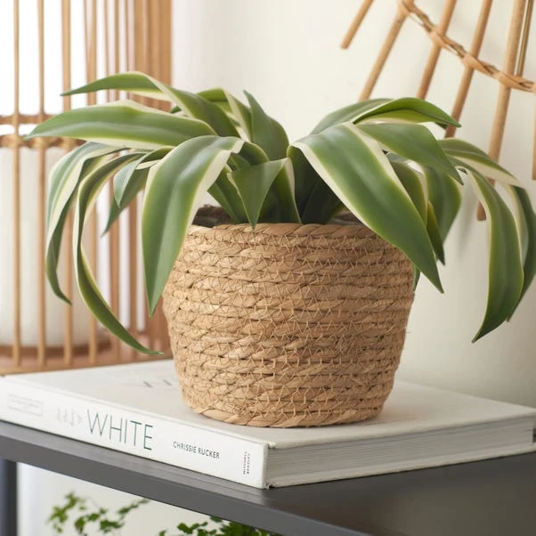 Woven Rope Plant Pot 3 Woven Rope Plant Pot