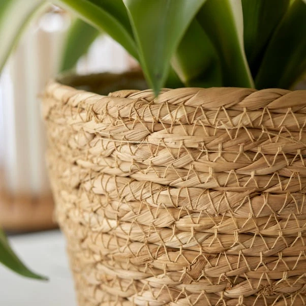 Woven Rope Plant Pot 4 Woven Rope Plant Pot - Image 2