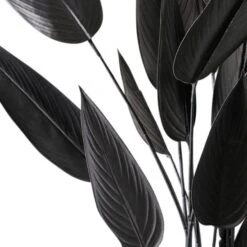 Artificial Black Bird Of Paradise Tree In Black Plant Pot 7 Artificial Black Bird Of Paradise Tree In Black Plant Pot -Home Luxe Studio 30758834 alt02