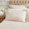 Dorma Winchester Champagne Oxford Pillowcase Pair 2 Dorma Winchester Champagne Oxford Pillowcase Pair -Home Luxe Studio 30789793