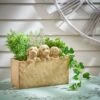 Set Of 3 Cockapoo Planters -Home Luxe Studio 30798149