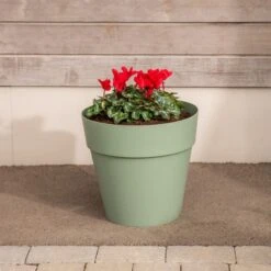 Soho Plant Pot -Home Luxe Studio 30804581