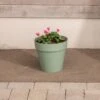 Soho Plant Pot -Home Luxe Studio 30804586