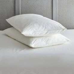 Pack Of 2 Duck Feather Back Sleeper Pillows