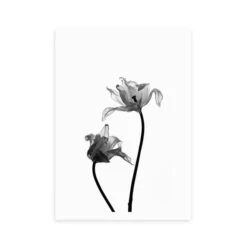 East End Prints Iris Print -Home Luxe Studio 30819387 alt01