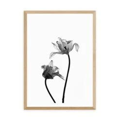 East End Prints Iris Print -Home Luxe Studio 30822579 alt01