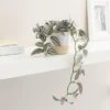 Artificial Trailing Tradescantia In White Ceramic Plant Pot 2 Artificial Trailing Tradescantia In White Ceramic Plant Pot -Home Luxe Studio 30827287