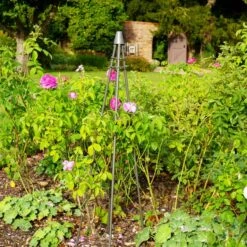 Outdoor Plant Support Tripod Climber 27 Outdoor Plant Support Tripod Climber -Home Luxe Studio 30849542 alt06