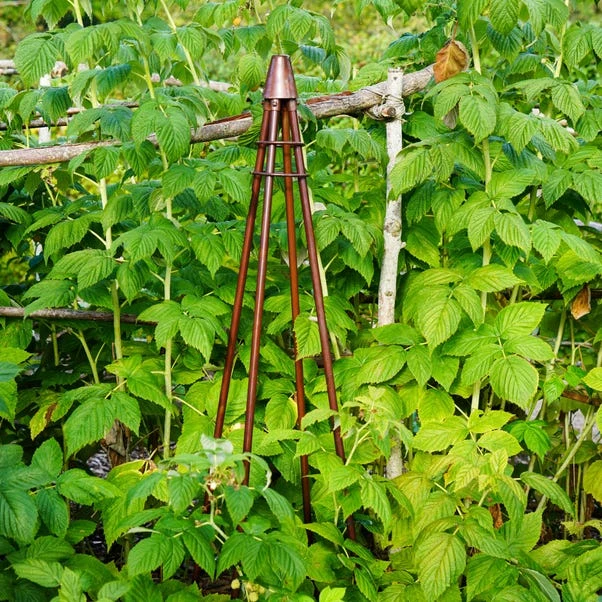 Outdoor Plant Support Tripod Climber 3 Outdoor Plant Support Tripod Climber