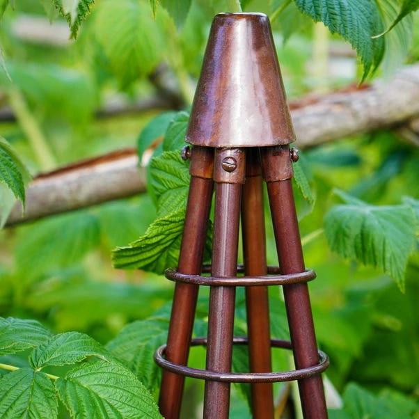 Outdoor Plant Support Tripod Climber 4 Outdoor Plant Support Tripod Climber - Image 2