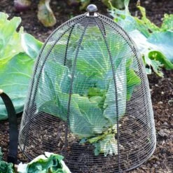 Outdoor Wired Plant Protector -Home Luxe Studio 30849544 alt01