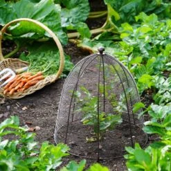 Outdoor Wired Plant Protector -Home Luxe Studio 30849545