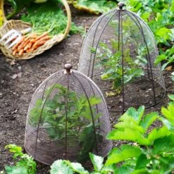 Outdoor Wired Plant Protector -Home Luxe Studio 30849545 alt01