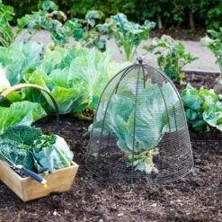 Outdoor Wired Plant Protector -Home Luxe Studio 30849546