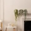 Artificial Set Of 3 Trailing Plants In White Ceramic Plant Pots 2 Artificial Set Of 3 Trailing Plants In White Ceramic Plant Pots -Home Luxe Studio 30861033