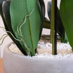 Artificial White Orchid In Grey Ceramic Plant Pot 8 Artificial White Orchid In Grey Ceramic Plant Pot -Home Luxe Studio 30861404 alt02