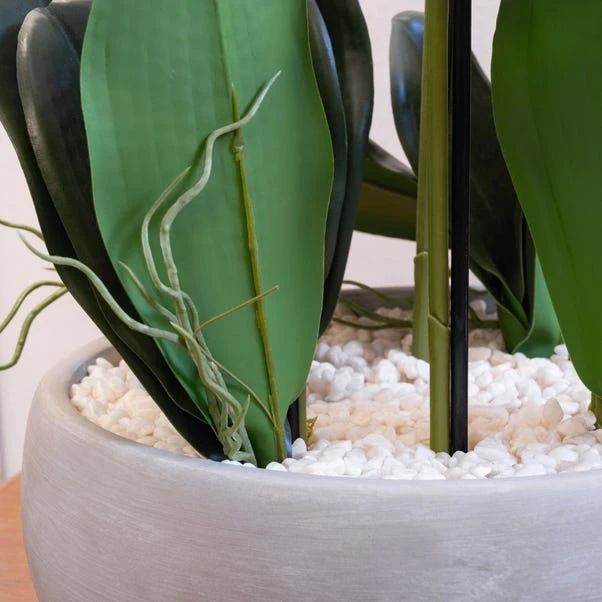 Artificial White Orchid In Grey Ceramic Plant Pot 5 Artificial White Orchid In Grey Ceramic Plant Pot - Image 3