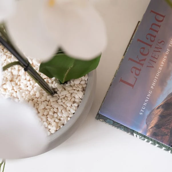 Artificial White Orchid In Grey Ceramic Plant Pot 6 Artificial White Orchid In Grey Ceramic Plant Pot - Image 4