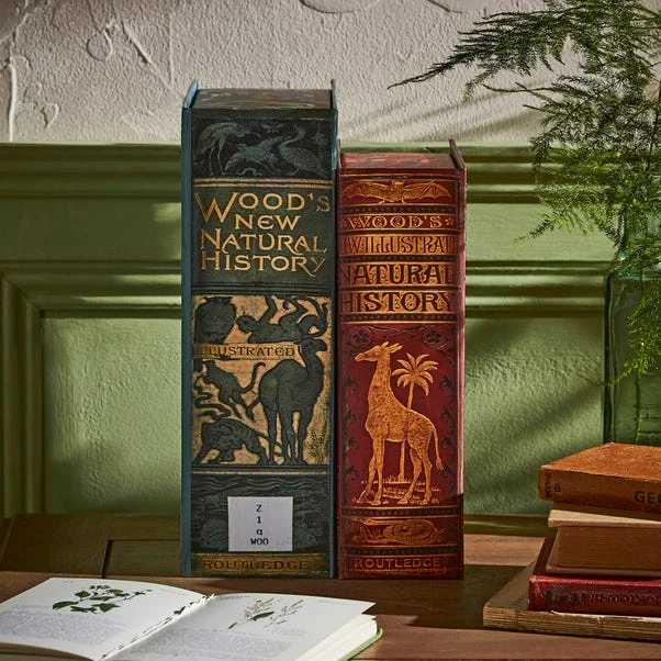 Set Of 2 Storage Books 4 Set Of 2 Storage Books - Image 2