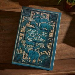 Set Of 2 Storage Books 13 Set Of 2 Storage Books -Home Luxe Studio 30862874 alt03