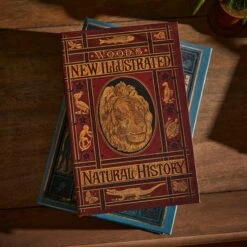 Set Of 2 Storage Books 14 Set Of 2 Storage Books -Home Luxe Studio 30862874 alt04