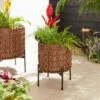 Amazonia Rattan Plant Stand 1 Amazonia Rattan Plant Stand -Home Luxe Studio 30867526