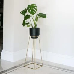 Minimo Plant Stand 12 Minimo Plant Stand -Home Luxe Studio 30867668