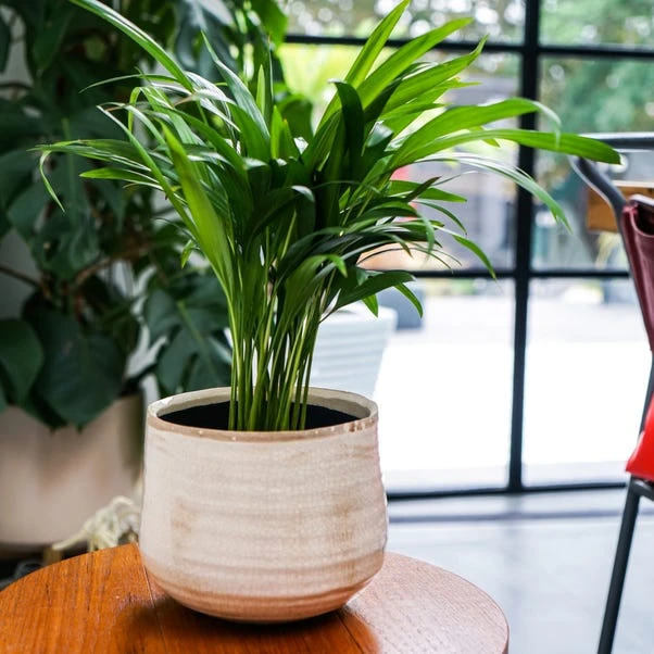 Como Plant Pot 3 Como Plant Pot