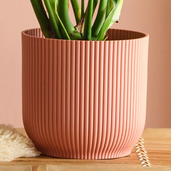 Swiss Cheese House Plant In Elho Pot 19 Swiss Cheese House Plant In Elho Pot - Image 17