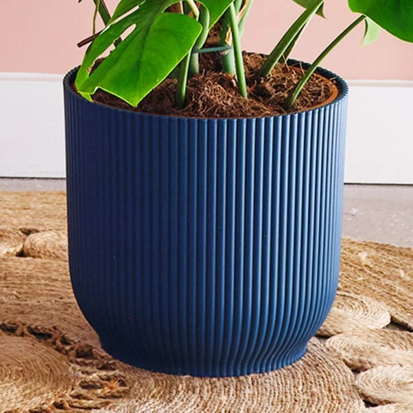 Swiss Cheese House Plant In Elho Pot 10 Swiss Cheese House Plant In Elho Pot - Image 8