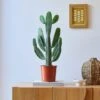 Cowboy Cactus House Plant 1 Cowboy Cactus House Plant -Home Luxe Studio 30875575