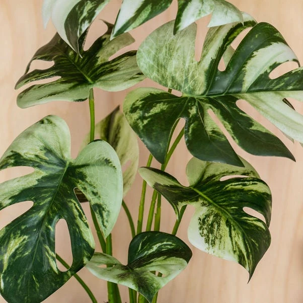 Artificial Variegated Monstera Plant 4 Artificial Variegated Monstera Plant - Image 2