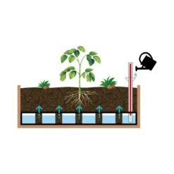 VegTrug Small Classic Self Watering Kit 7 VegTrug Small Classic Self Watering Kit -Home Luxe Studio 30890304 alt02