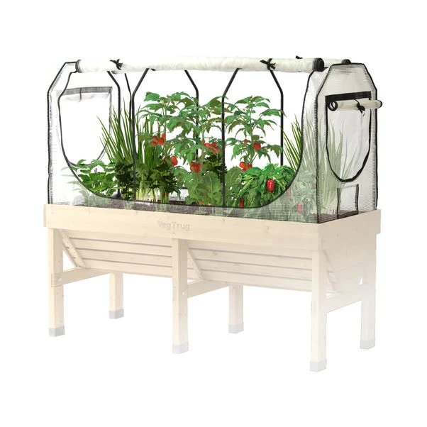 VegTrug Medium Classic Greenhouse Frame And Multi Cover Set 4 VegTrug Medium Classic Greenhouse Frame And Multi Cover Set - Image 2