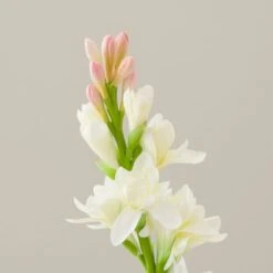 Artificial White Tuberose Stem 7 Artificial White Tuberose Stem -Home Luxe Studio 30897549 alt02