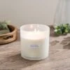 Eucalyptus Multi Wick Candle -Home Luxe Studio 30897698
