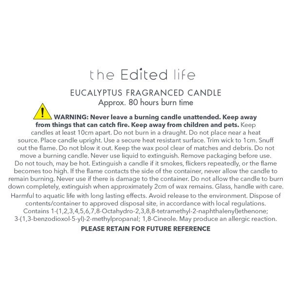 Eucalyptus Multi Wick Candle 8 Eucalyptus Multi Wick Candle - Image 6