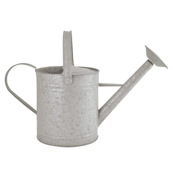 Fallen Fruits 8.7 Litre Old Zinc Watering Can 3 Fallen Fruits 8.7 Litre Old Zinc Watering Can