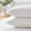 Hotel Pack Of 2 Luxury Cotton Anti Allergy Back Sleeper Pillows -Home Luxe Studio 30905712