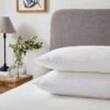 Luxury TENCEL™ Blend Back Sleeper Pillow Pair 2 Luxury TENCEL™ Blend Back Sleeper Pillow Pair -Home Luxe Studio 30910765