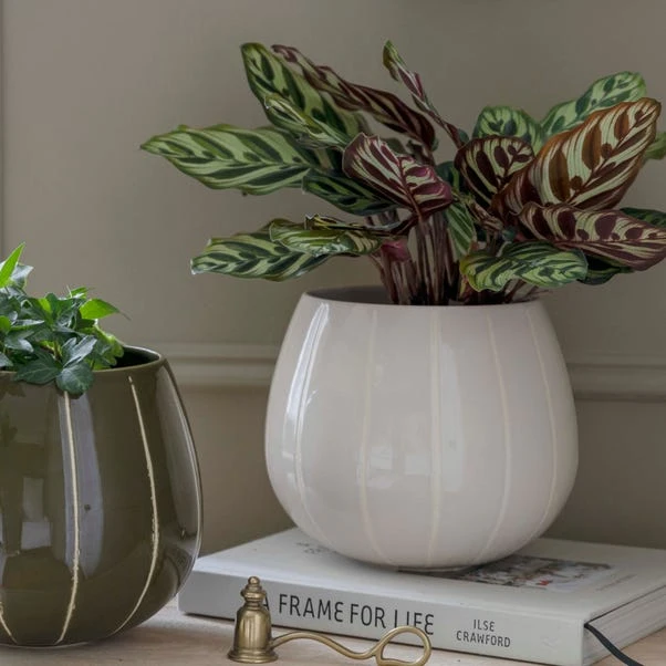 Nova Wax Relief Plant Pot 16 Nova Wax Relief Plant Pot - Image 14