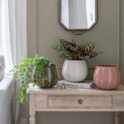 Nova Wax Relief Plant Pot 30 Nova Wax Relief Plant Pot -Home Luxe Studio 30911738 alt01