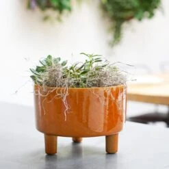 Pisa Bowl Plant Pot 39 Pisa Bowl Plant Pot -Home Luxe Studio 30911871 alt02